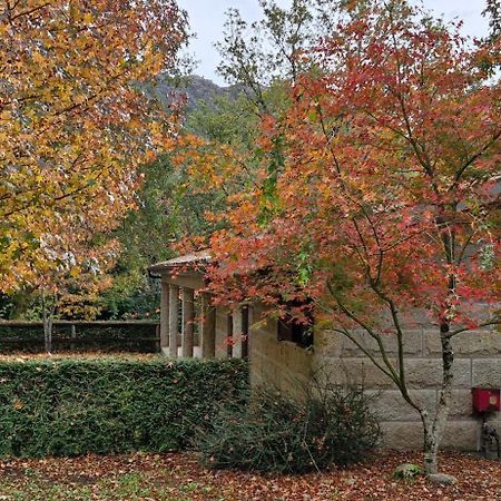 Bungalows - Serra Do Geres Campo do Geres Dış mekan fotoğraf