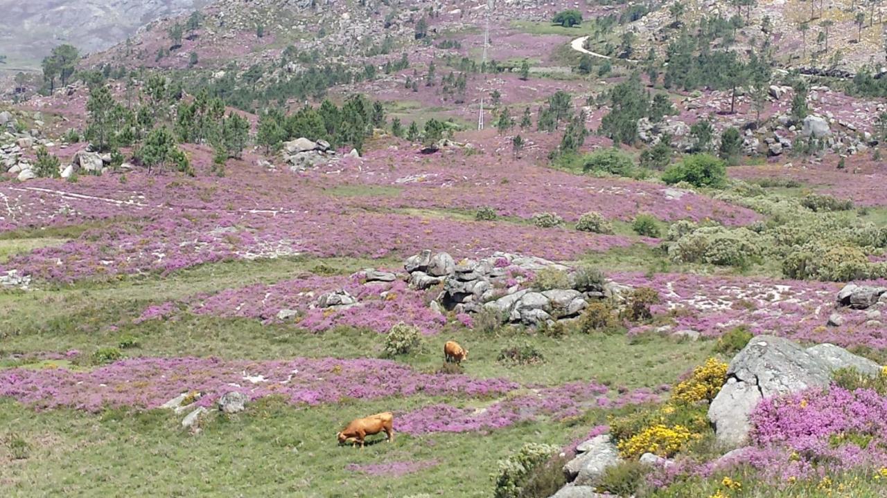 Bungalows - Serra Do Geres Campo do Geres Dış mekan fotoğraf