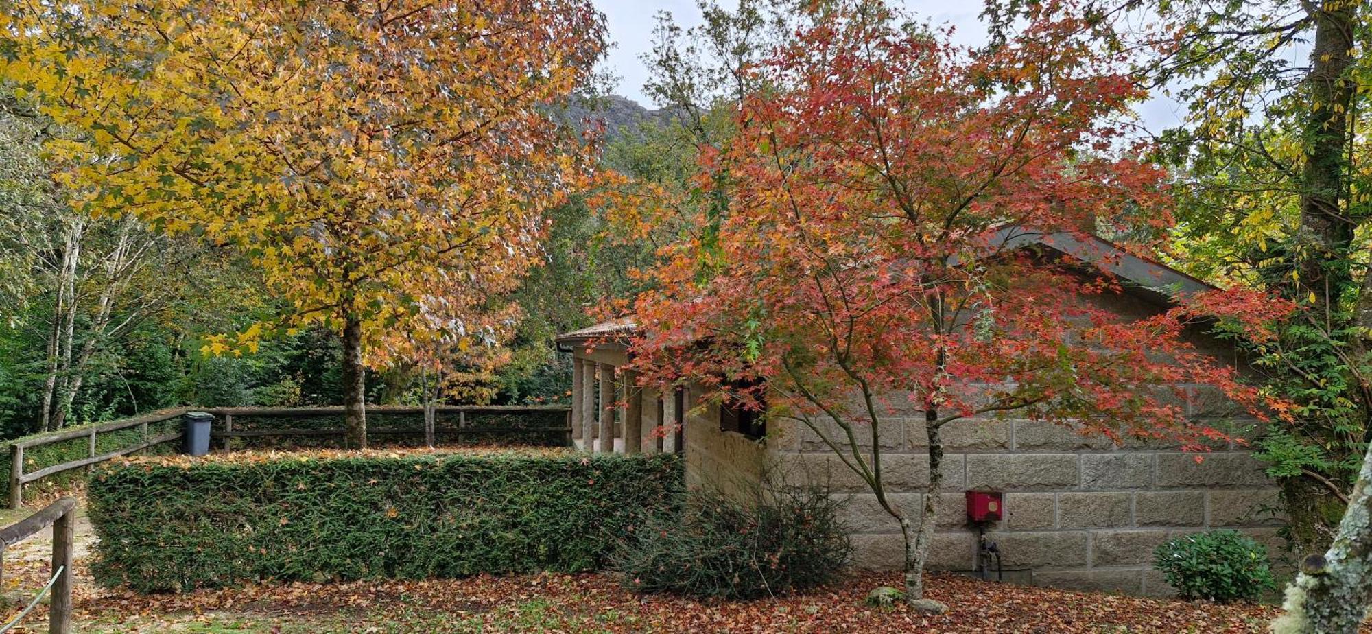 Bungalows - Serra Do Geres Campo do Geres Dış mekan fotoğraf