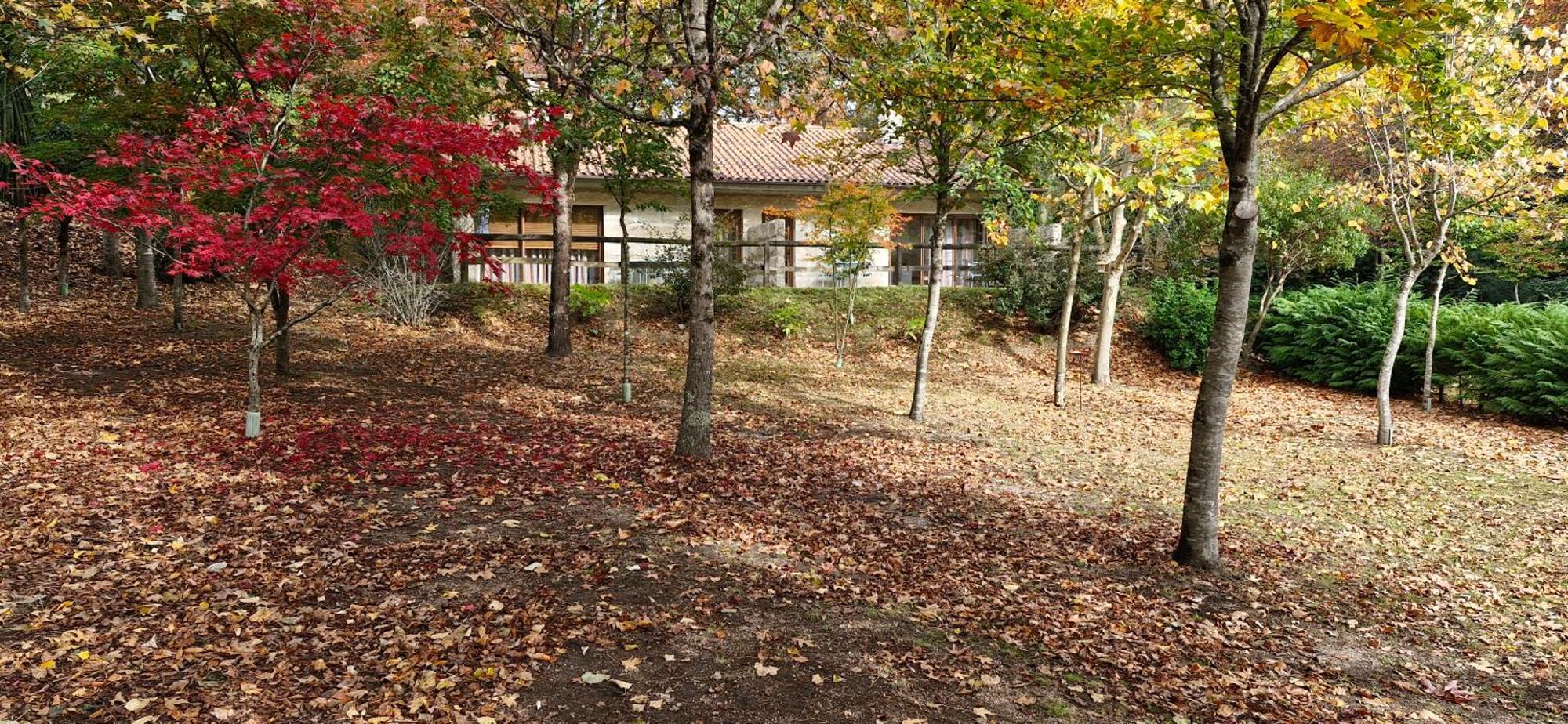 Bungalows - Serra Do Geres Campo do Geres Dış mekan fotoğraf