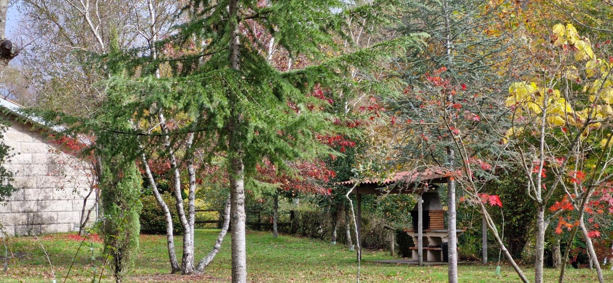Bungalows - Serra Do Geres Campo do Geres Dış mekan fotoğraf